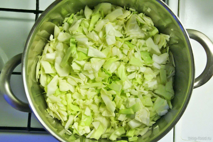 Solyanka (stewed cabbage)