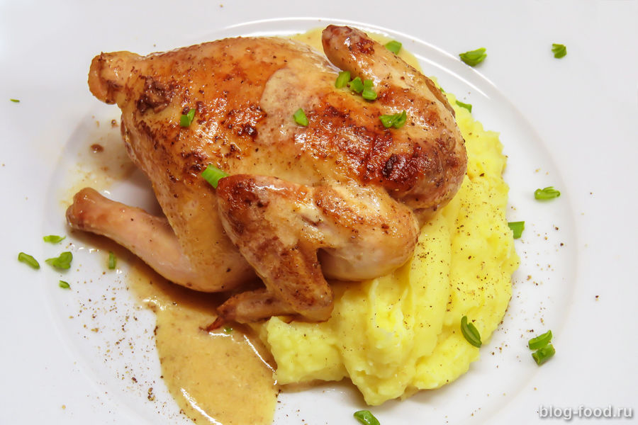 Цыпленок корнишон в духовке — рецепт с фото пошагово. Как приготовить цыпленка корнишона в духовке?